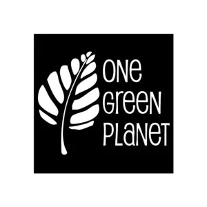 One Green Planet